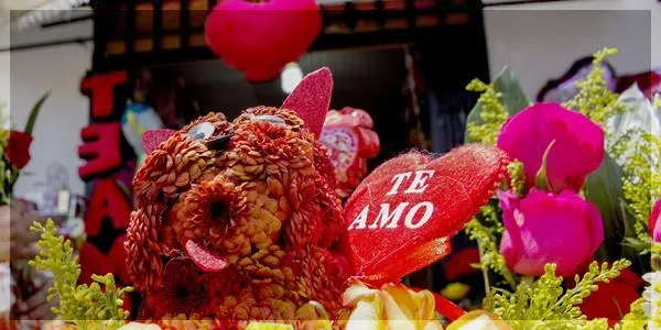 Celebraci&oacute;n - 14 de Febrero en Ecuador | San Valent&iacute;n