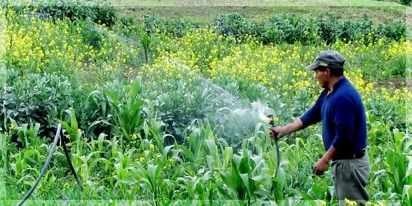 Bono Raíces | Requisitos para cobrar en Ecuador