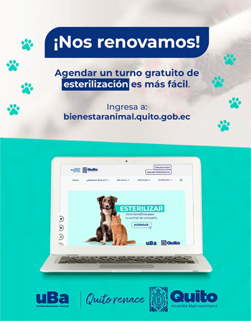 Esterilización GRATIS en Quito | Perros y Gatos (Turnos)