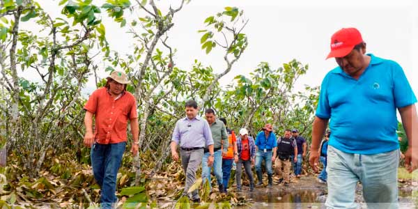 Requisitos | Acceder Seguro Agrícola Estatal por El Niño