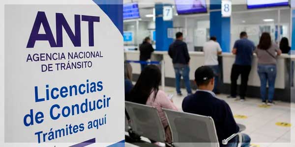 Turnos Licencia | Agendar por último Dígito de Cédula
