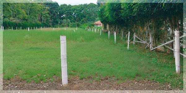 ¿Cómo saber si un terreno es legal en Ecuador? | Datos